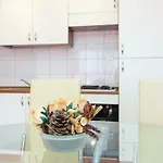 Adria 푸나트